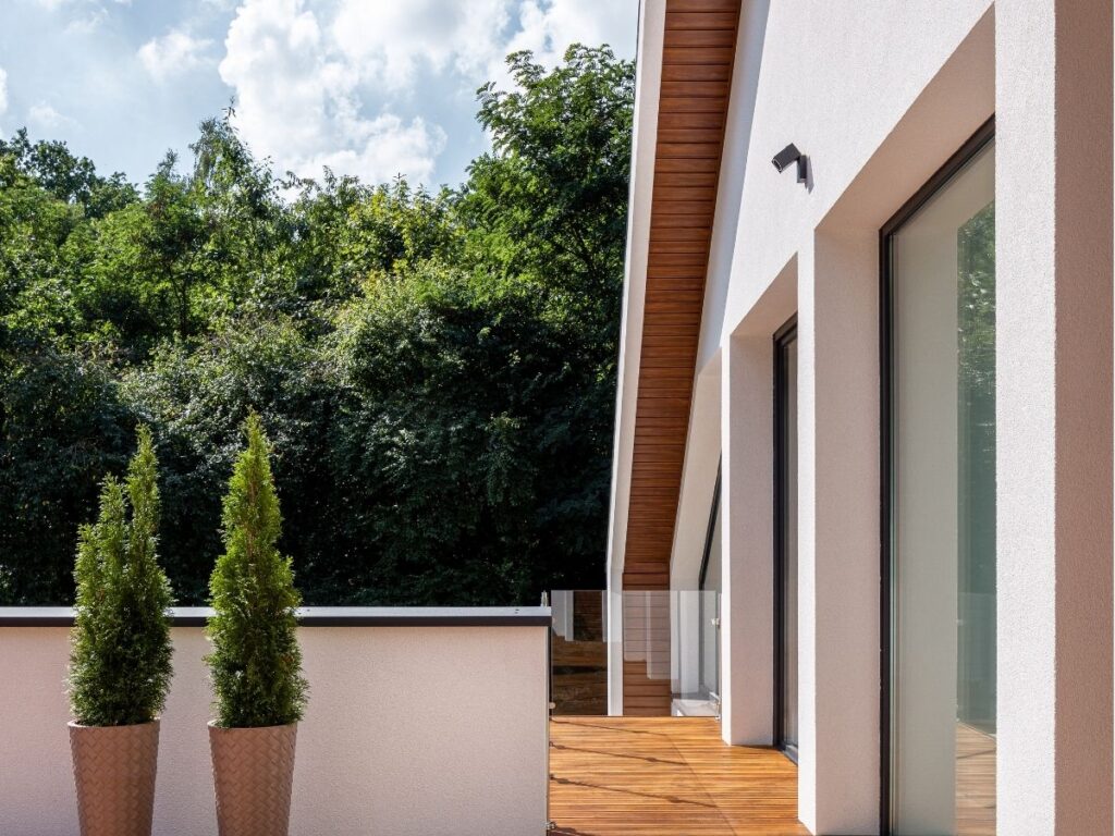 Jaka tuja na balkon – odmiany idealne do uprawy w doniczkach