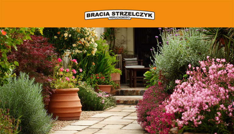 Rośliny ogrodowe jako element zdrowej i harmonijnej przestrzeni wokół domu